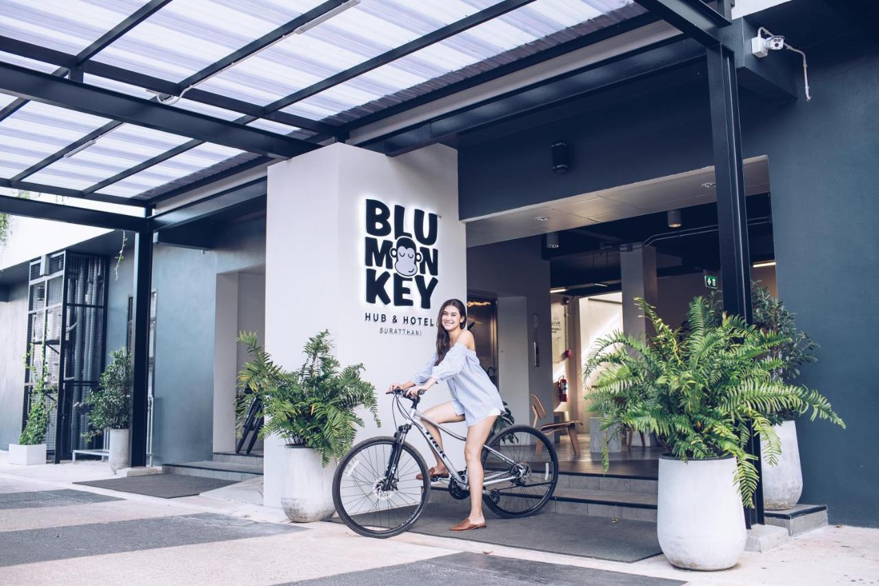 Hotel Blu Monkey Hub & 3*